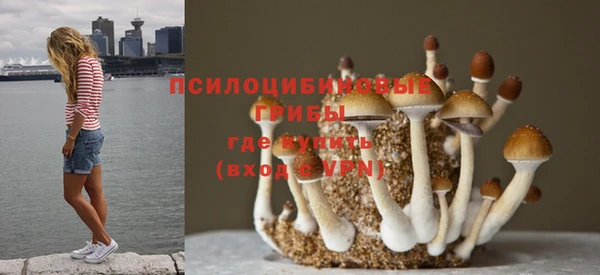 COCAINE Гусев
