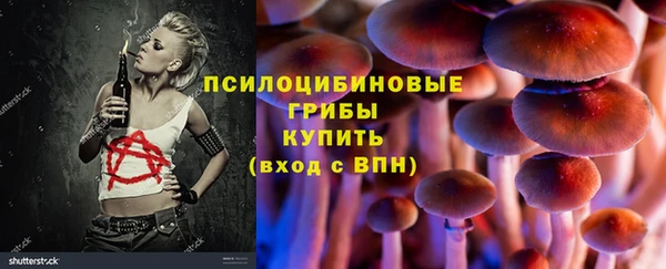 COCAINE Гусев