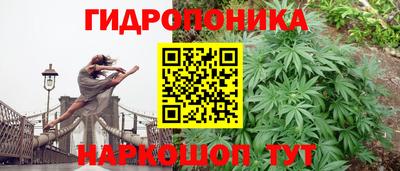 скорость Кинель