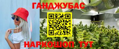 скорость Кинель