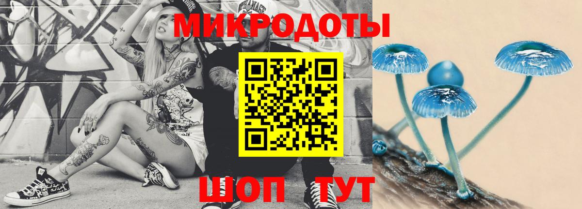 Нерюнгри  Псилоцибиновые грибы мухоморы  закладки  Галлюциногенные грибы прущие грибы  Вход с VPN 